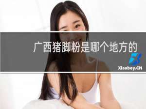 广西猪脚粉是哪个地方的特色