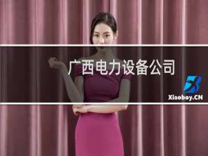 广西电力设备公司