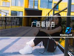 广西看银杏