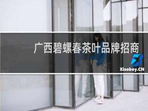 广西碧螺春茶叶品牌招商