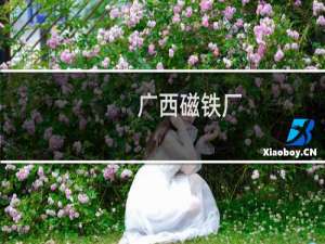 广西磁铁厂