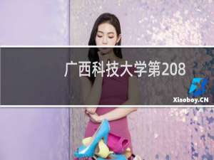 广西科技大学第208组(中外合作办学或国际项目)有哪些专业 招生多少人