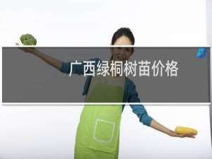 广西绿桐树苗价格