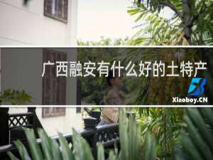 广西融安有什么好的土特产