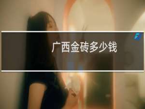 广西金砖多少钱