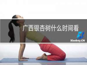 广西银杏树什么时间看