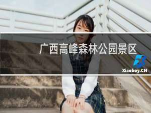广西高峰森林公园景区