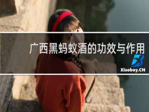 广西黑蚂蚁酒的功效与作用