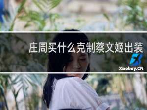 庄周买什么克制蔡文姬出装