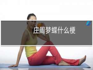 庄周梦蝶什么梗