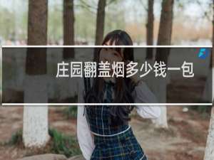 庄园翻盖烟多少钱一包