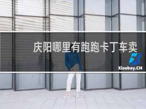 庆阳哪里有跑跑卡丁车卖