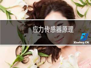 应力传感器原理