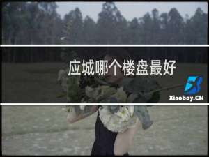 应城哪个楼盘最好