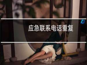 应急联系电话重复？？？ 同一个人，难道还重复吗？