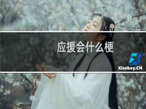 应援会什么梗