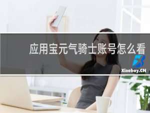 应用宝元气骑士账号怎么看
