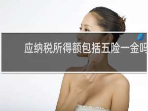 应纳税所得额包括五险一金吗