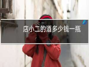 店小二的酒多少钱一瓶