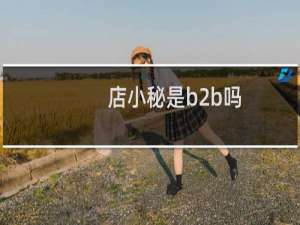 店小秘是b2b吗