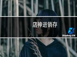 【店神进销存(收支)一体化软件】免费店神进销存(收支)一体化软件软件下载