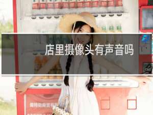 店里摄像头有声音吗