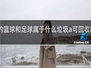 废旧的篮球和足球属于什么垃圾a可回收b其他c有害