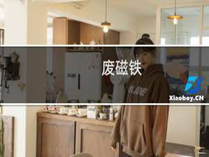 废磁铁