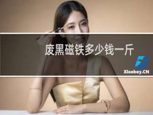 废黑磁铁多少钱一斤