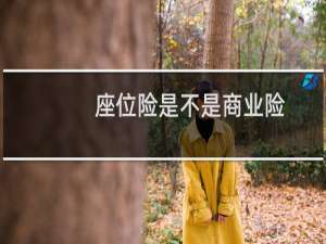 座位险是不是商业险