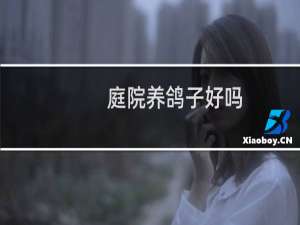 庭院养鸽子好吗