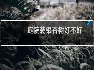 庭院栽银杏树好不好