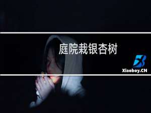 庭院栽银杏树