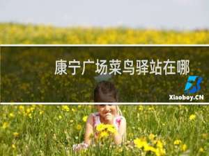 康宁广场菜鸟驿站在哪