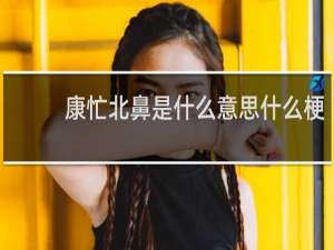 康忙北鼻是什么意思什么梗