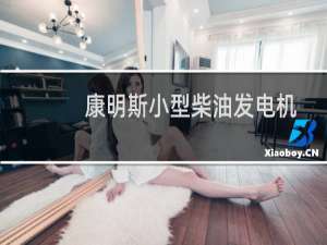 康明斯小型柴油发电机