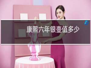 康熙六年银壶值多少