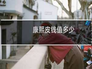 康熙皮钱值多少