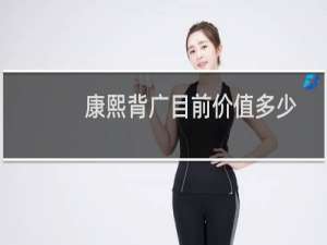 康熙背广目前价值多少