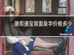康熙通宝背面泉字价格多少