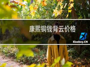 康熙铜钱背云价格