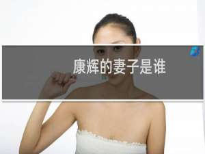 康辉的妻子是谁