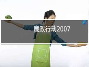 廉政行动2007