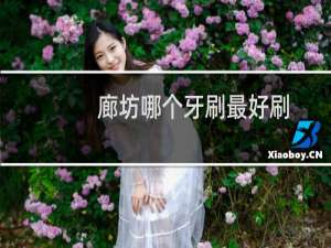 廊坊哪个牙刷最好刷