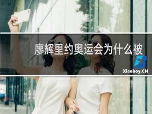 廖辉里约奥运会为什么被换