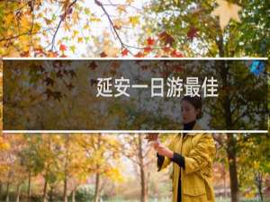 延安一日游最佳