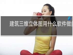 建筑三维立体图用什么软件做的