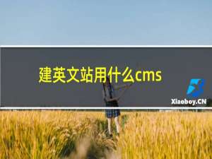 建英文站用什么cms