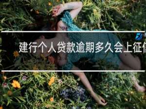 建行个人贷款逾期多久会上征信