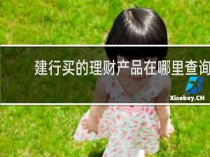 建行买的理财产品在哪里查询